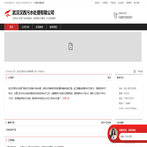 武汉汉西污水处理有限公司：汉西污水处理厂的投资建设